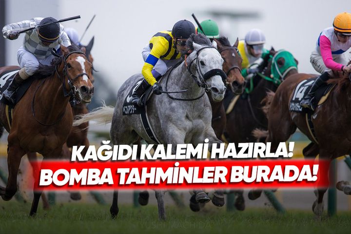 8 Ocak İzmir altılı ganyan tahminleri! At yarışı tahminleri!