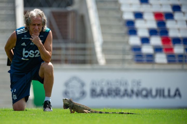 Jorge Jesus'un kertenkeleyle imtihanı
