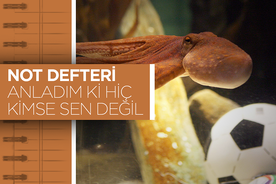 NOT DEFTERİ: Anladım ki hiç kimse sen değil
