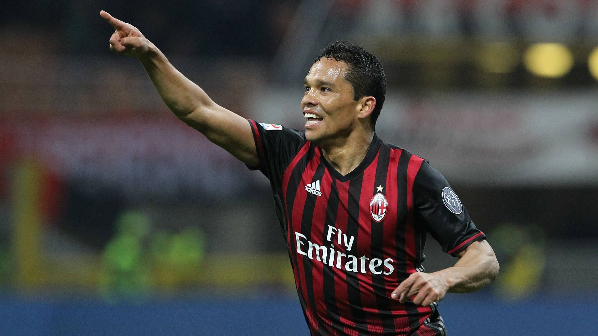 bacca